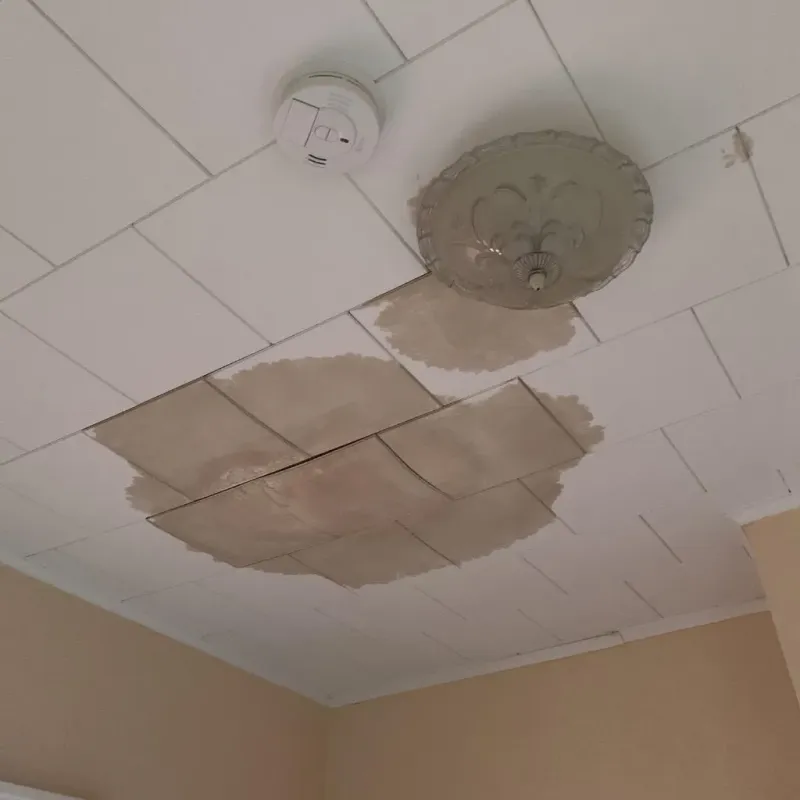 Ceiling Water Damage Repair in Clearfield County, PA