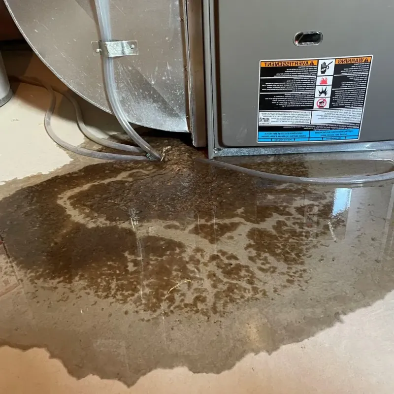 Pipe Burst and Leak Restoration in Clearfield County, PA