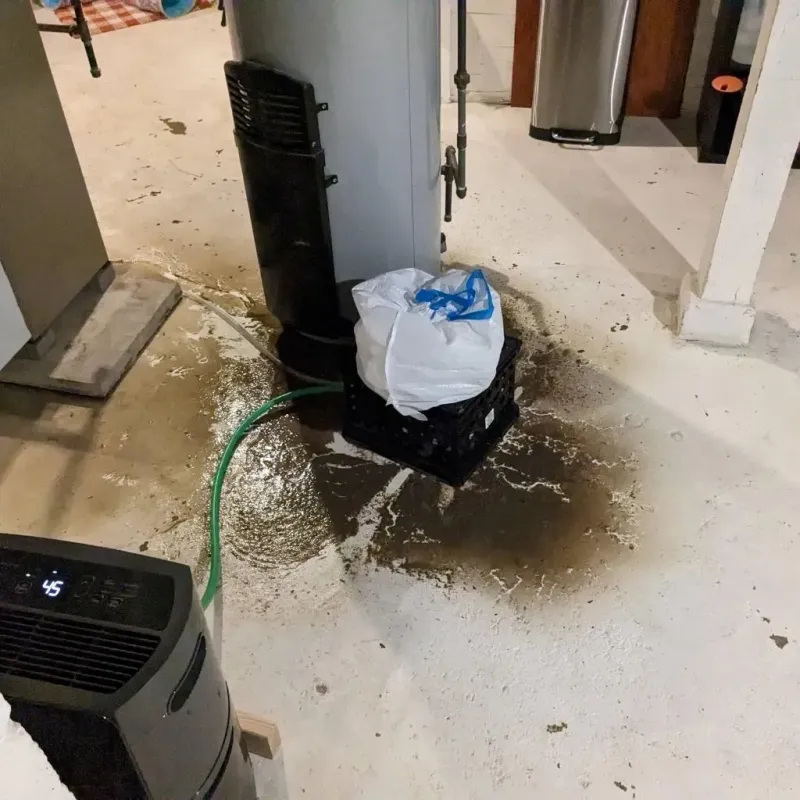 Sewage Backup Cleanup Service in Clearfield County, PA
